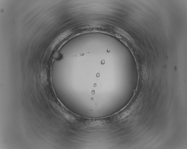 X0000076400826200610271616