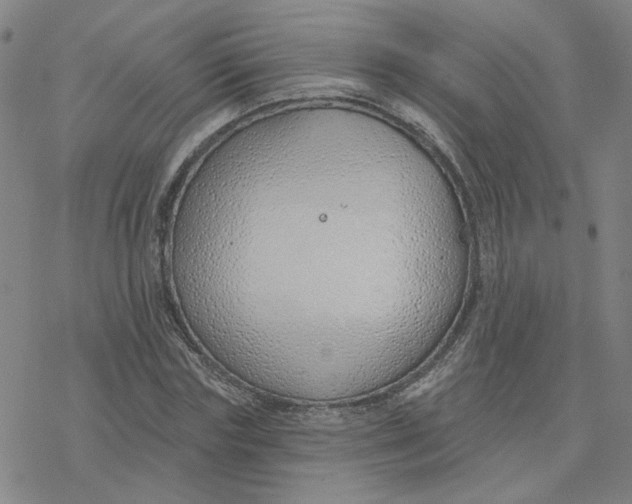 X0000076400827200610271616