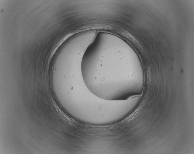 X0000076400828200610271616