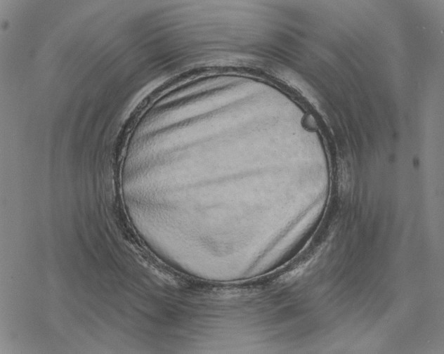 X0000076400829200610271616