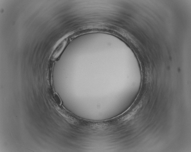 X0000076400830200610271616