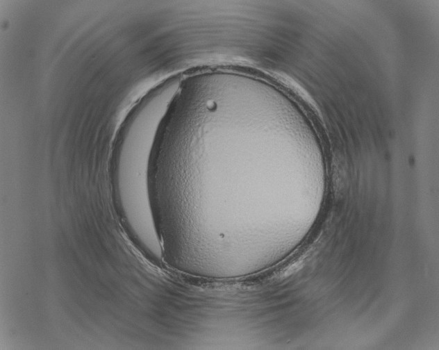 X0000076400831200610271616