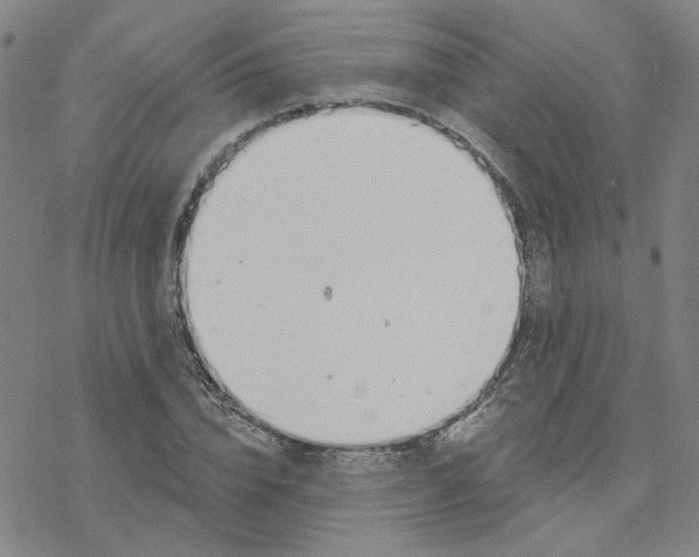 X0000076400832200610271616