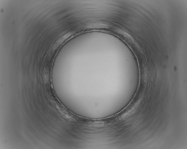 X0000076400833200610271616