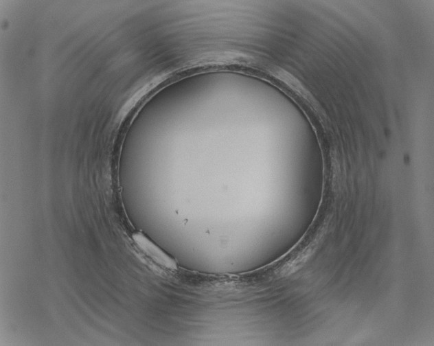 X0000076400834200610271616