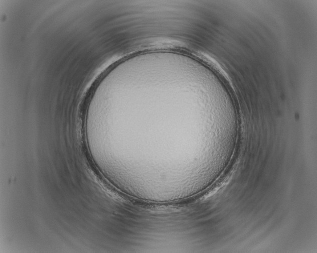 X0000076400835200610271616