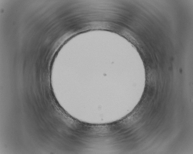 X0000076400836200610271616