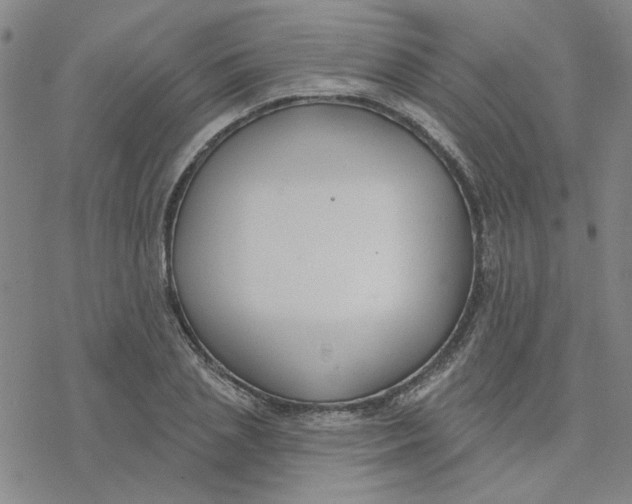 X0000076400837200610271616