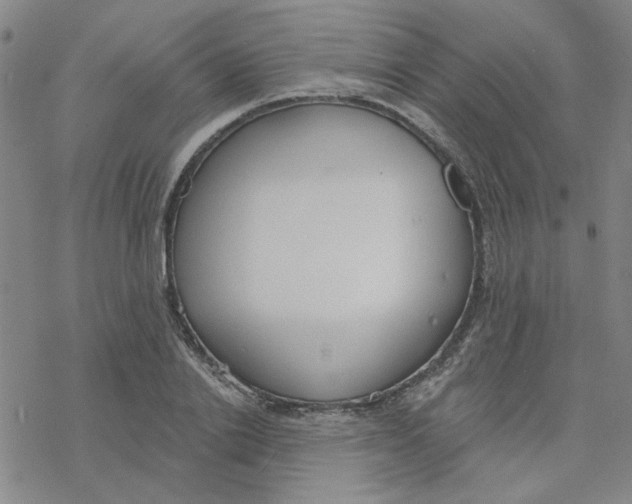 X0000076400838200610271616