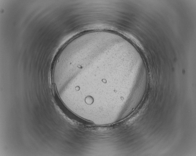 X0000076400839200610271616