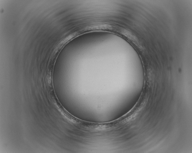 X0000076400841200610271616