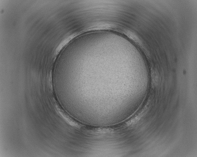 X0000076400842200610271616