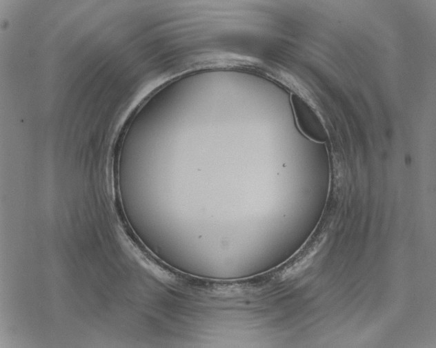 X0000076400843200610271616