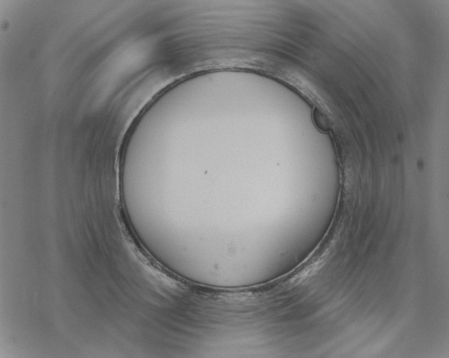 X0000076400844200610271616