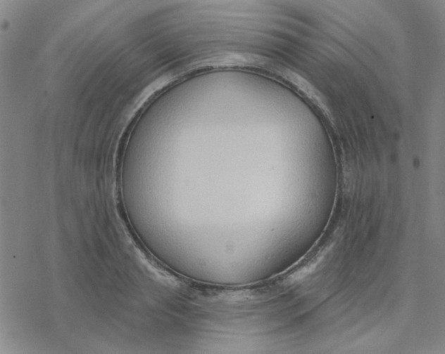 X0000076400845200610271616