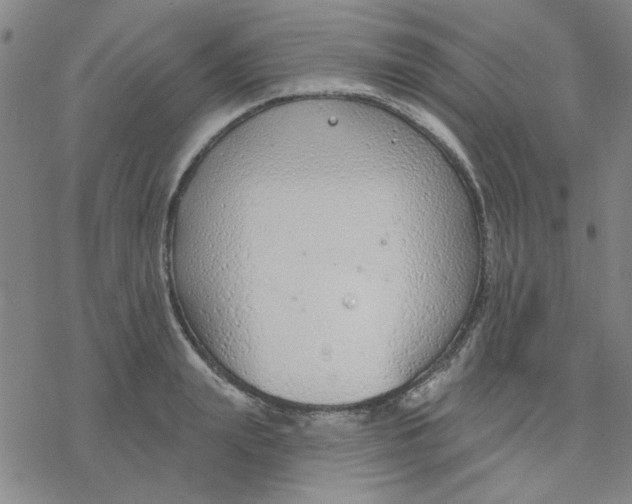 X0000076400847200610271616