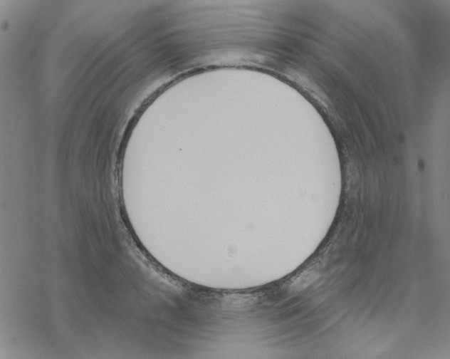 X0000076400848200610271616