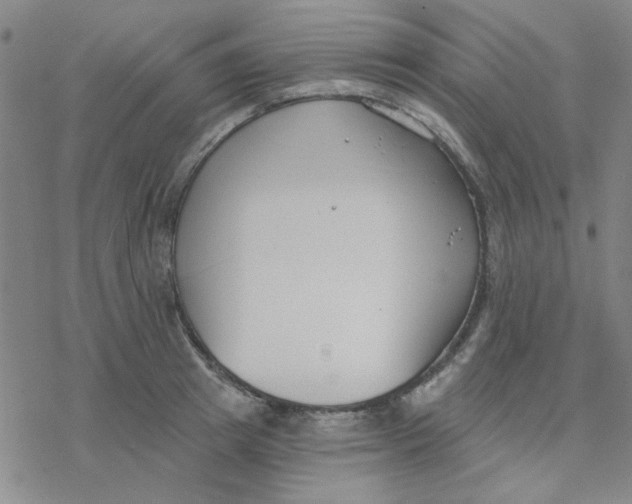 X0000076400849200610271616