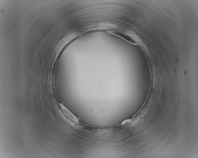 X0000076400850200610271616