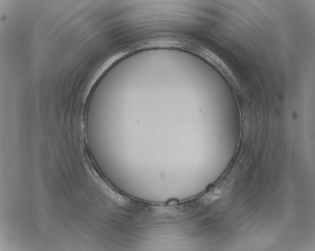 X0000076400852200610271616