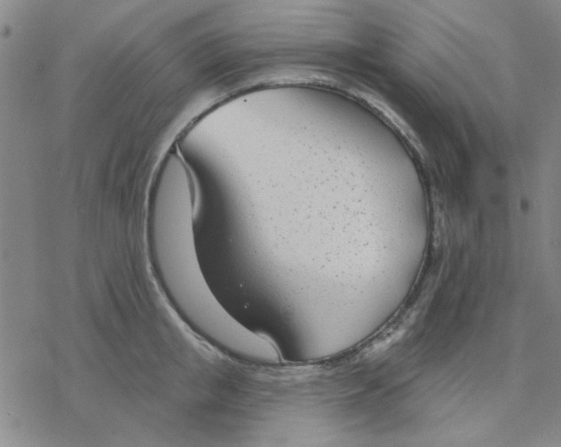 X0000076400853200610271616