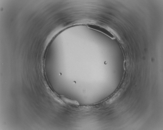 X0000076400854200610271616