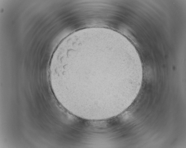 X0000076400856200610271616