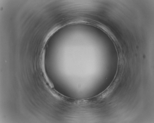 X0000076400858200610271616