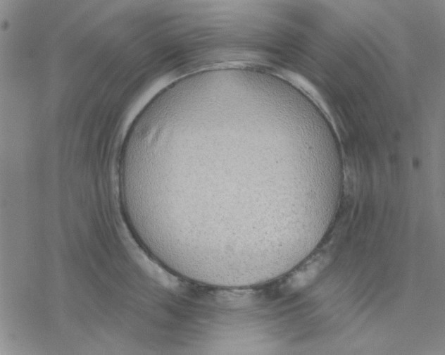 X0000076400859200610271616