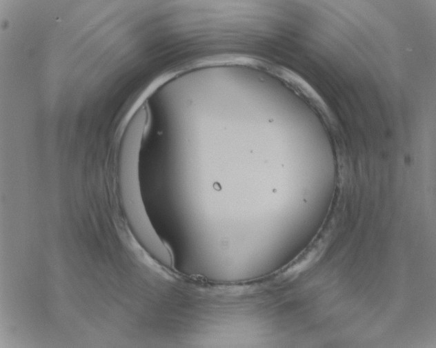 X0000076400860200610271616