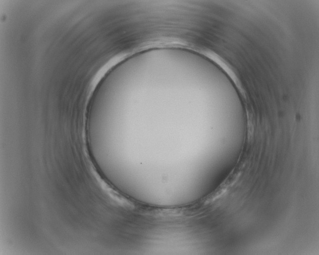 X0000076400861200610271616