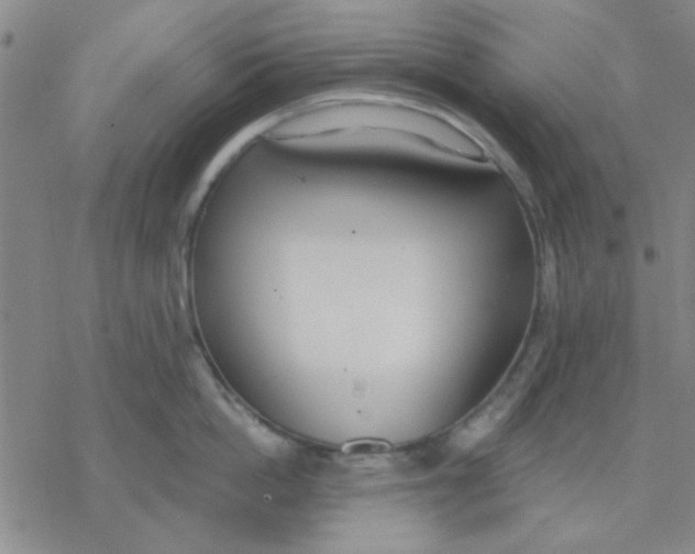 X0000076400862200610271616