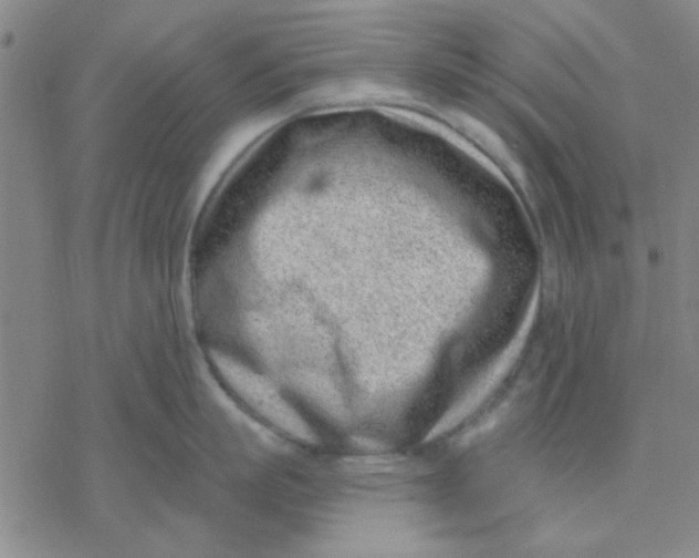 X0000076400863200610271616