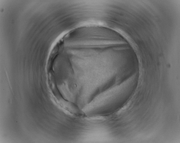 X0000076400864200610271616