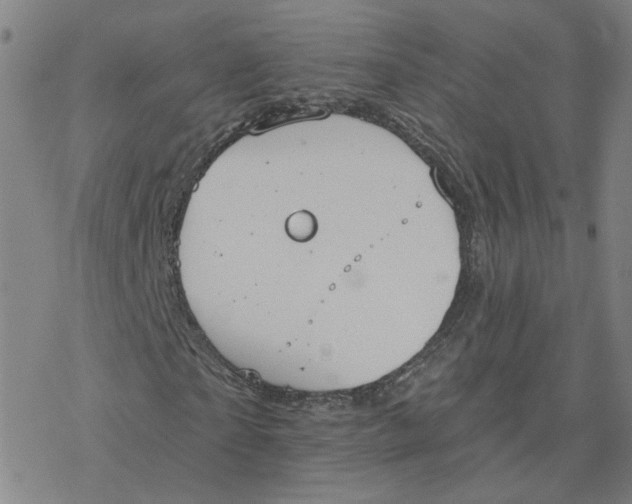 X0000076400865200610271615