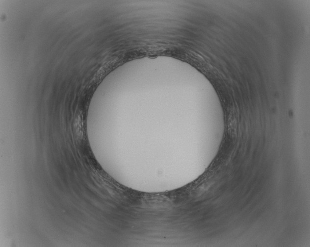 X0000076400866200610271615