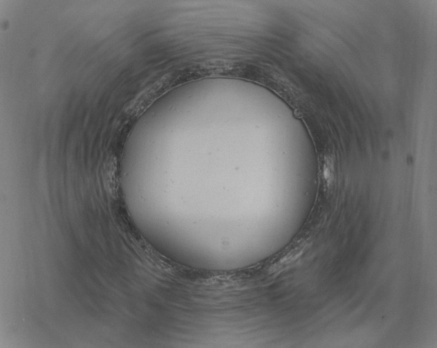 X0000076400867200610271615