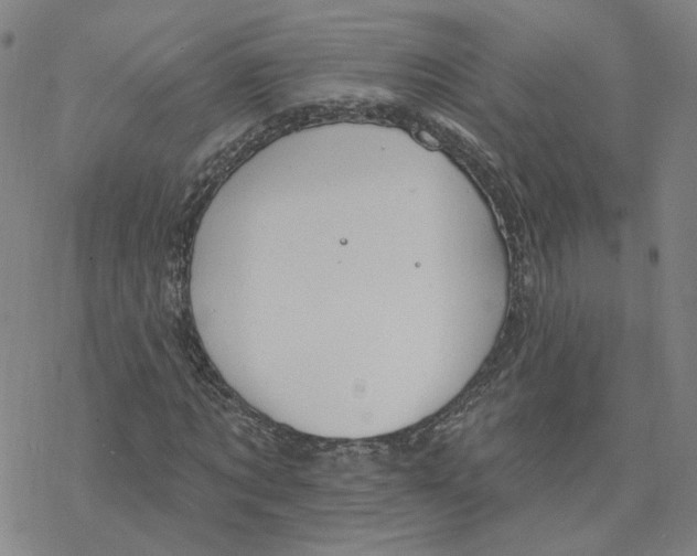 X0000076400869200610271615