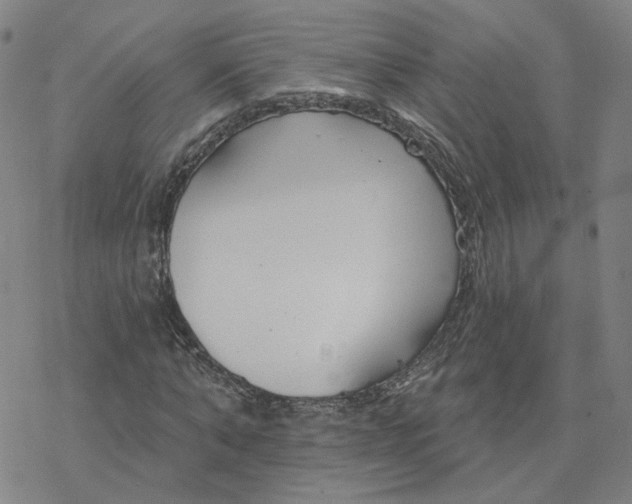 X0000076400870200610271615