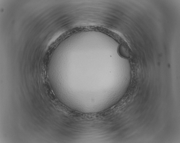 X0000076400871200610271615