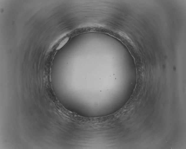 X0000076400872200610271615