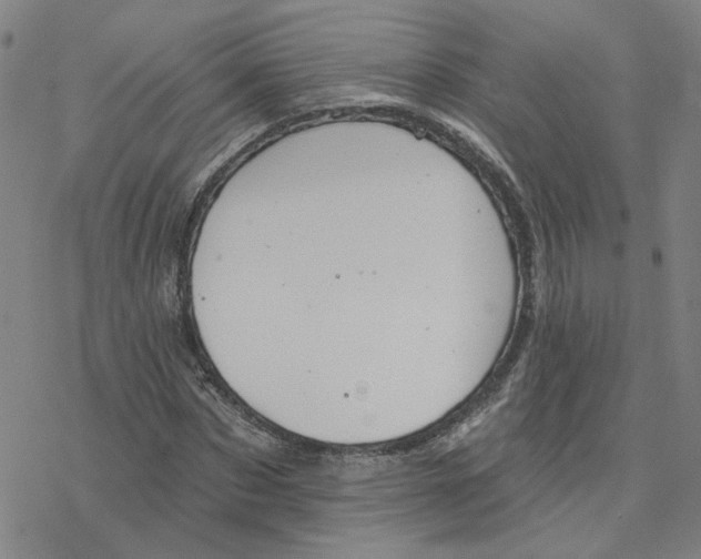 X0000076400873200610271615