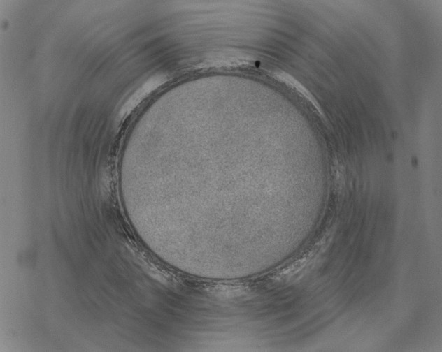 X0000076400874200610271615