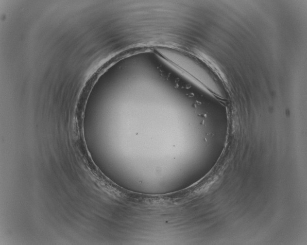 X0000076400876200610271615