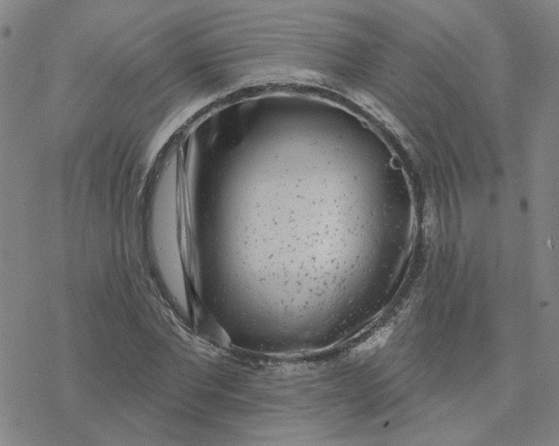 X0000076400877200610271615