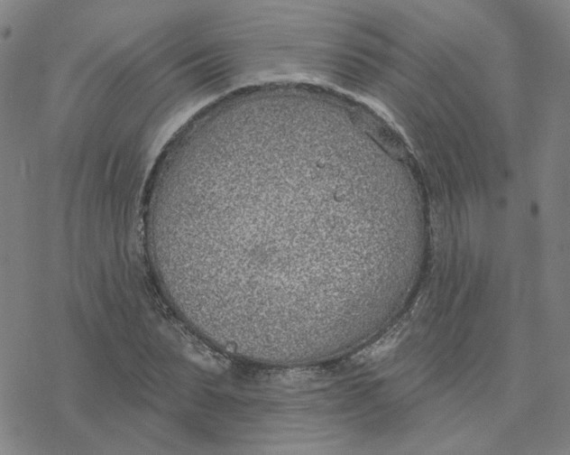 X0000076400879200610271615