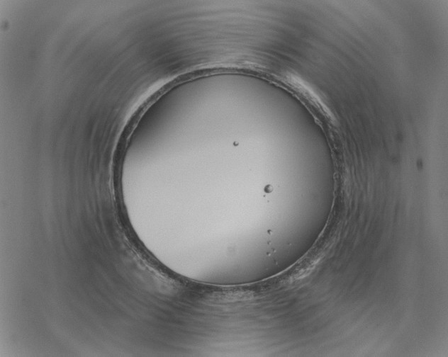 X0000076400884200610271615