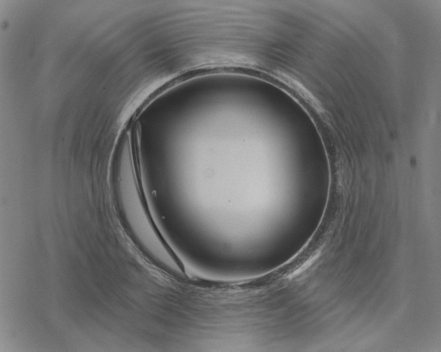 X0000076400885200610271615