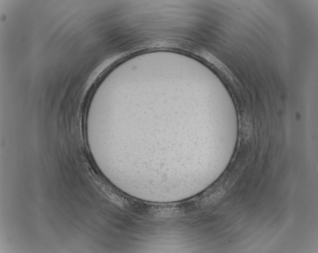 X0000076400886200610271615