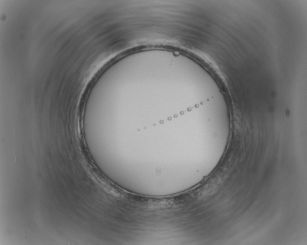 X0000076400887200610271615